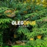 Opus [MC] feat. Крайний Тюха
