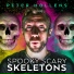 Peter Hollens