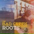 The Bad Creek Project