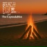 Beach Fly, The Expendables