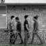 Three Circus