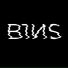 B1NS
