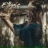 Native Shamanic Zone, Native American Flute