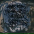 Maray Jazom feat. Паша Псих, JUNKIEFUNK