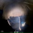 Royal Thuq