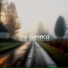 iney