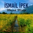 İsmail İpek