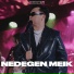 Ne degen Meik