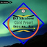 DJ Shalow