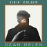 Ozan Gelen