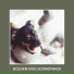 Dog Chill Out Music
