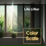 Color Scale