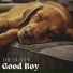 Music For Dogs With Anxiety