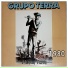 Grupo Terra