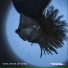 Brainee feat. Fleezy Gunman, Tinu