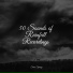 Rainforest Sounds, Ambient Arena, Master Meditação