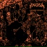 INOSA