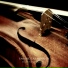 Farshid Farahmand