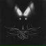 Night Shadow feat. spdthekidd, Honey Splif