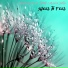 Sheel To Feel