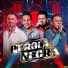 Banda Pérola Negra, Bandas do Sul