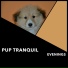 Dogs Music Therapy, Dog's Music, Zen Dog