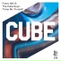 Fuzzy Hair, The Cube Guys