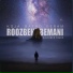 Roozbeh Bemani