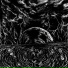 xvvoid