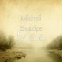 Mikheil Buadze