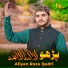 Aliyan Raza Qadri