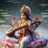 Prakash Gupta