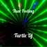 Turtle Dj
