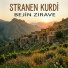 Stranen Kurdi