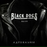 Black Dogs Band