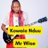 MR WISE
