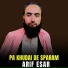 Arif Esar