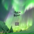 Lilzinnnxd041 feat. Braia, N7vees