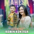 Ersa Amelia, Rizvan Bocil feat. Mahesa Music