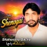 Shahensha bacha