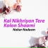 Nokar Nadeem