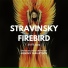 Arseniy Shkaptsov, United Soloists Orchestra