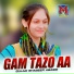 Gulam Shabeer Abassi