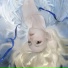 Albedo
