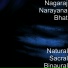 Nagaraj Narayana Bhat