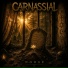 Carnassial