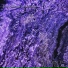C.Qubed, BeenoThaGhost