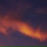 Feenix