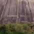 Berg Menezes