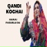 Qandi Kochai